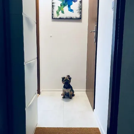 Apartmán Andersena Modern A - 10 Min Cmkp - 5 Min Metro - 15 Min Center Varšava Exteriér fotografie